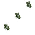thumbnail image 2 of Plantas artificiales realistas con hojas de seda 10 piezas Wosthever, 2 of 6