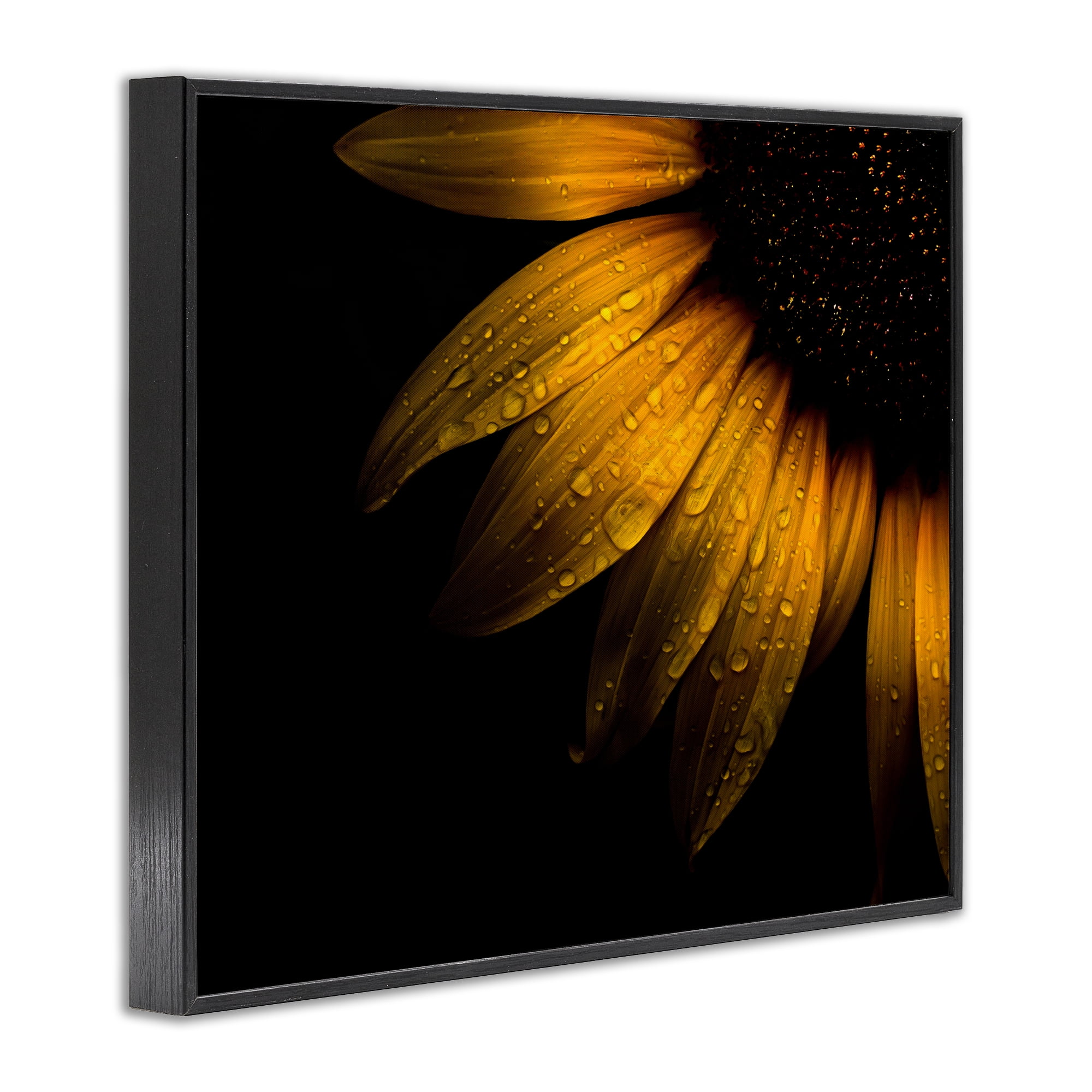 Water Droplets on Sunflower Black Framed Giclee Art, design by Brian Carson Photography