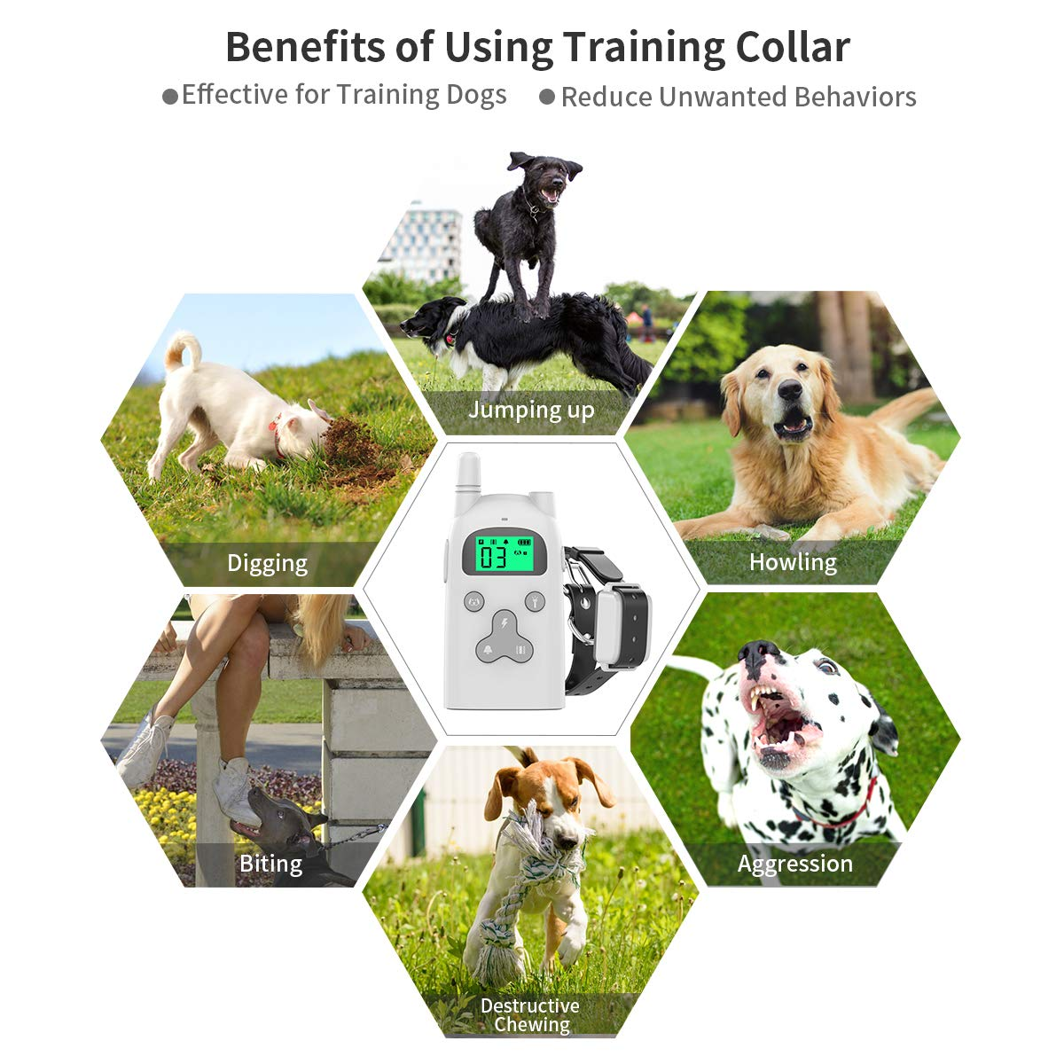 howling collar