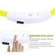 thumbnail image 2 of GOOHOCHY Collar LED para perro, recargable por USB, brillante, para seguridad nocturna., 2 of 8