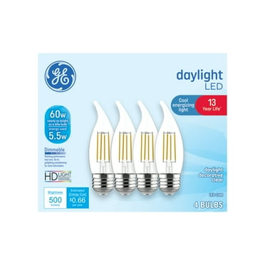 LED Daylight CAM 60W (4-Pack)