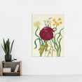 thumbnail image 2 of Farmer Peony Nature Flower Vintage Plants Illustration Extra Large XL Wall Art Poster Print, 2 of 3