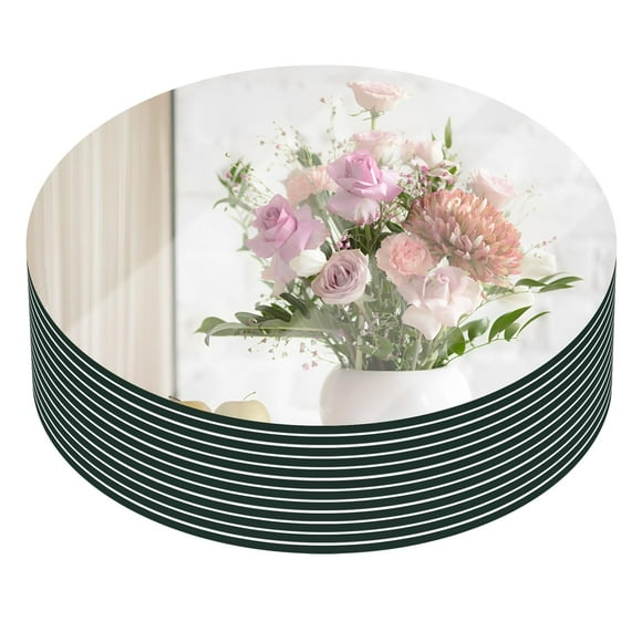 Bandejas VASUHOME Juego de 12 Platos Redondos de Espejo de 20 cm, 2 mm