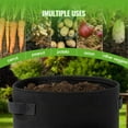thumbnail image 3 of Potato Grow Bags, 4 Pack 10 Gallon Planting Heavy Duty Pouch Fabric Pots with Handles Premium Breathable Cloth Bags for Potato/Plant Container(Black), 3 of 7