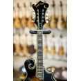 thumbnail image 3 of Gold Tone GM-35 F-Style Mandolin Tobacco Sunburst, 3 of 11