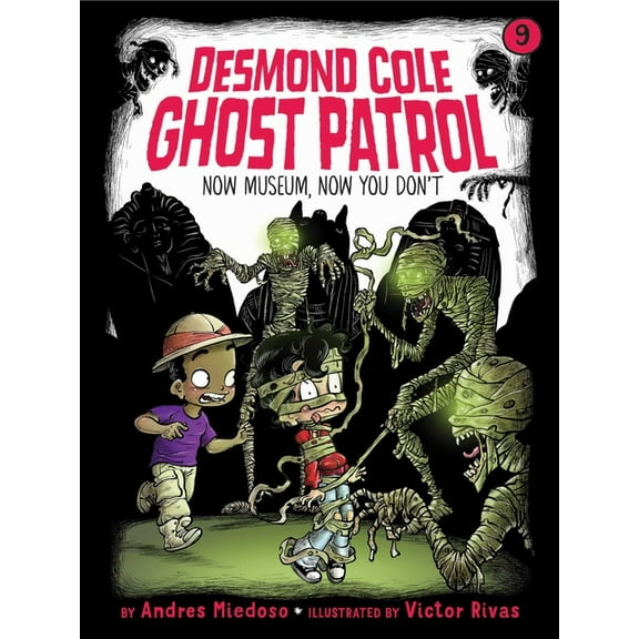 Desmond Cole Ghost Patrol Now Museum, Now You Don't, Book 9, (Paperback)