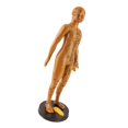 thumbnail image 4 of Modelo De Acupuntura Corporal, Artesanía Con Letras Inodoras, Modelo De Acupuntura Para El Cuerpo Humano De Amplia Aplicación, útil Para La Enseñanza De Modelos En Casa De, 4 of 7