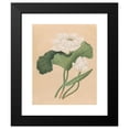 thumbnail image 2 of British 19th Century 15x18 Black Modern Framed Museum Art Print Titled - East Indian Lotus (Nelumbo Nucifera) (Late 19th Century), 2 of 5