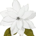 thumbnail image 2 of 27.5" Milk Wht Poinsettia 24" Flwr 2/Bag, 2 of 2