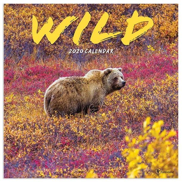 2020 Wild Wall Calendar - Walmart.com - Walmart.com