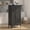Black, variant on Spaco 47" Steel Adjustable 2-Door Kitchen Pantry Cabinet with Magnetic Doors, Gold Handles & 4 Heavy-Duty Shelves, Striped Storage Cabinet for Kitchen, Living Room, Office, White