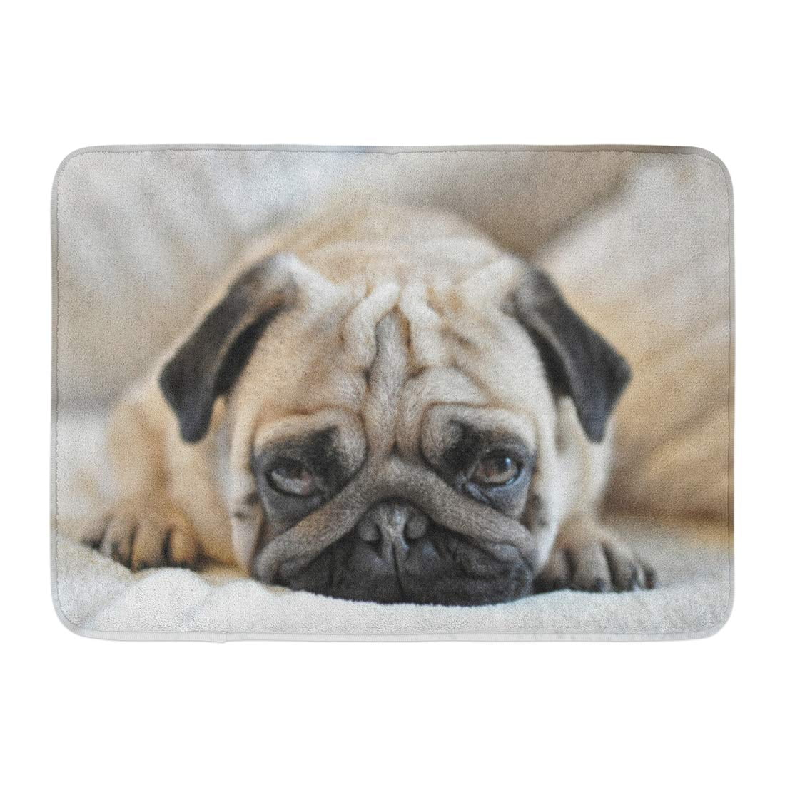 Fiddler's Elbow DOORMAT--18 X 27--TWO PUGS non-skid rubber backed, 