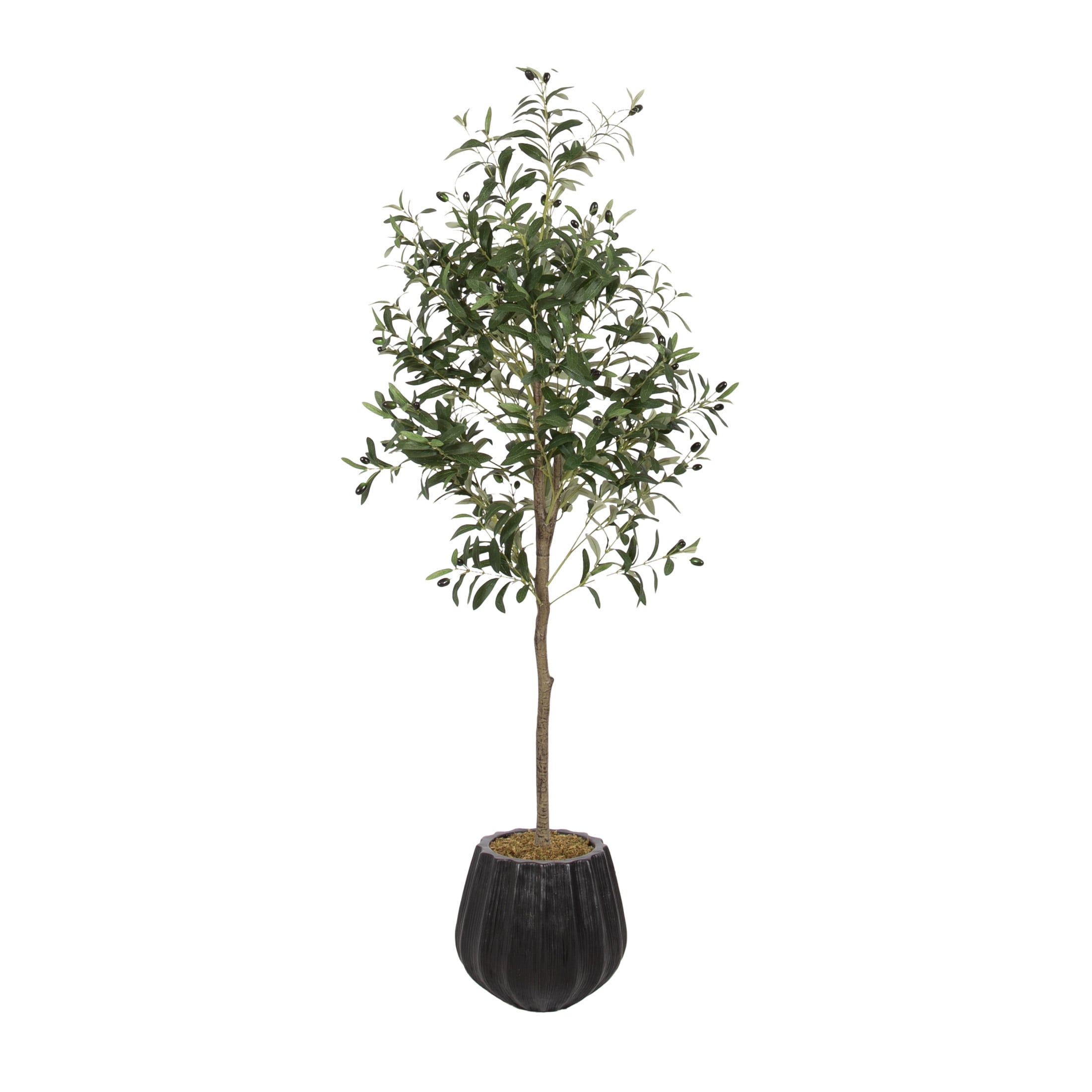 Kate and Laurel Oliveira Faux Olive Tree with Claudel Scalloped Planter Pot, 5 FT, Black, Potted Artificial Olive Plant Tree with Realistic Foliage and Added Moss, Fake Plant for Living Room Decor
