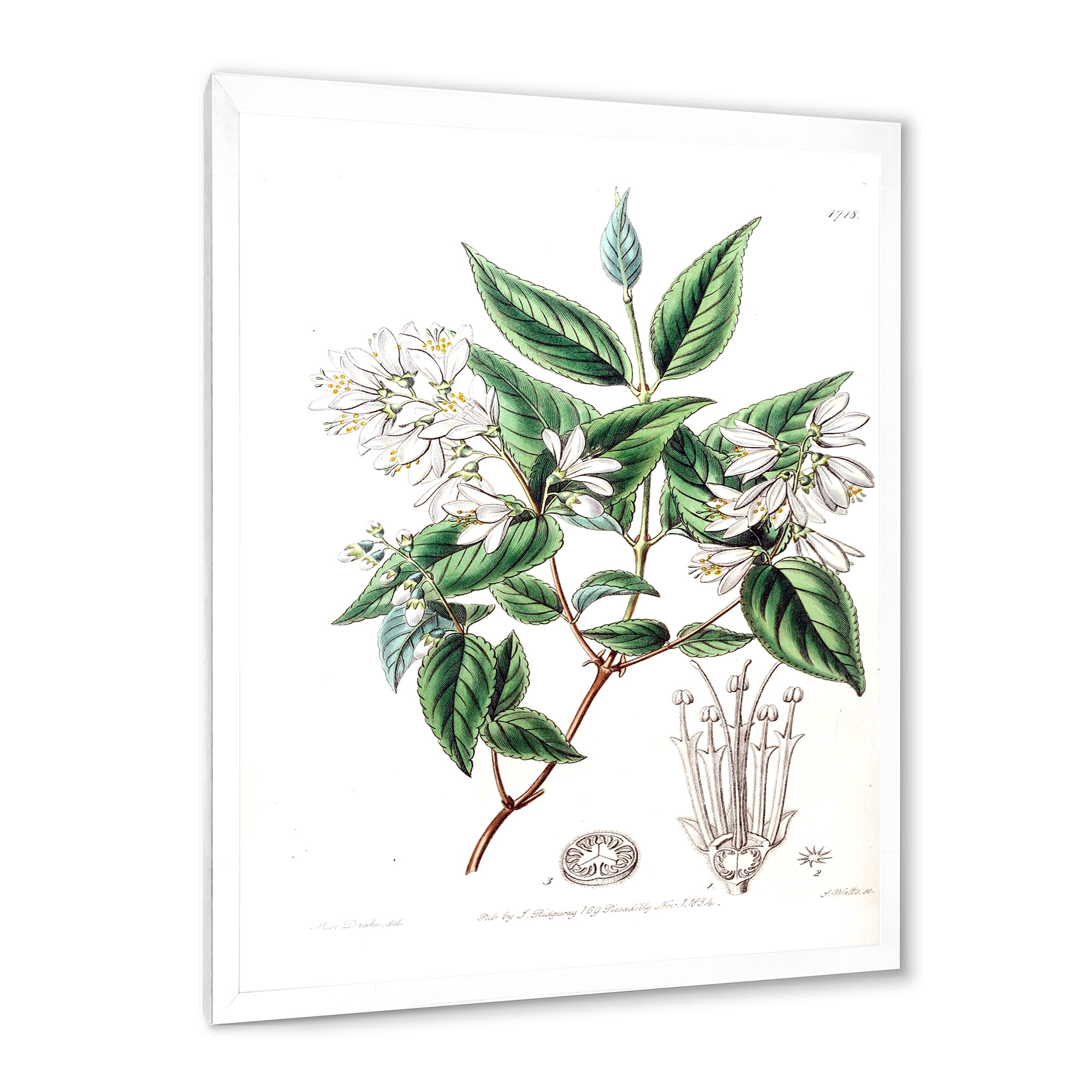 Designart 'Ancient Botanicals X' Traditional Framed Art Print