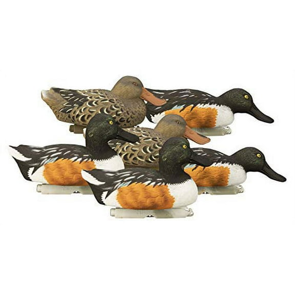 Higdon Standard Shoveler Foam-Filled Duck Decoys, 6 Pack