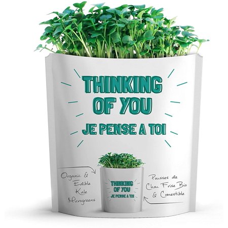 microgreen