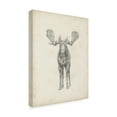 thumbnail image 2 of Trademark Fine Art 'Moose Study Illustration' Canvas Art by Ethan Harper, 2 of 4