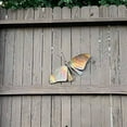thumbnail image 2 of Hanging Butterfly, 2 of 5