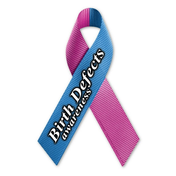 Birth Defects Awareness Ribbon Magnet
