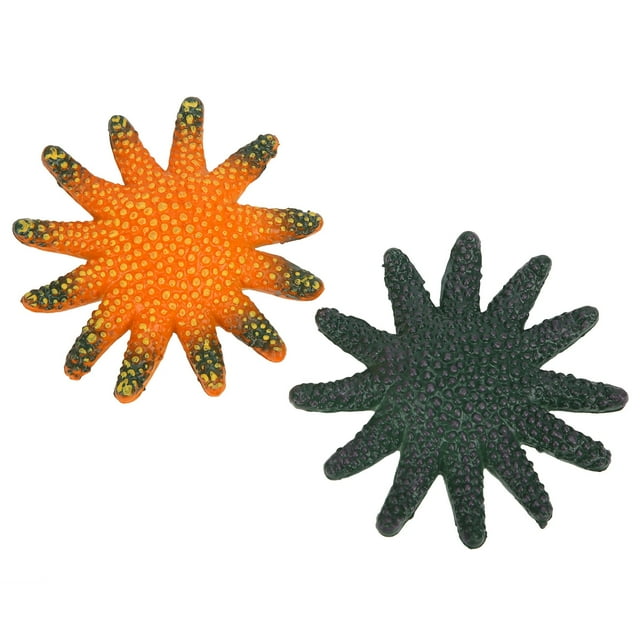 Modelo educativo de estrella de mar, modelo de estrella de mar de simulación de 2 piezas, modelo de estrella de mar de juguete, modelo de estrella de mar de simulación, construcción robusta