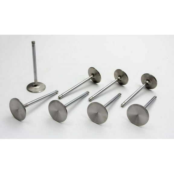 Manley 11182-6 MPP11182-6 VALVE-R/M