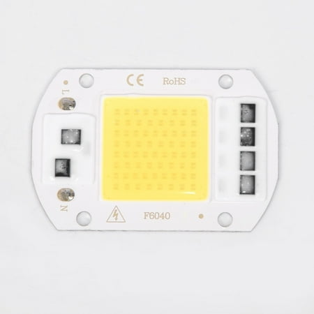 

ALSLIAO 20W 30W 50W LED Floodlight COB Chip 220V Input Integrated Smart IC Driver 50W