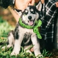 thumbnail image 2 of TIELUTT Cool Pet Scarf Cool Scarf for Dogs Summer Heat Prevention Cool Scarf for Dogs Neck Dog Name Dog Colors Dog Name Christmas Dog Custom Dog Color, 2 of 5