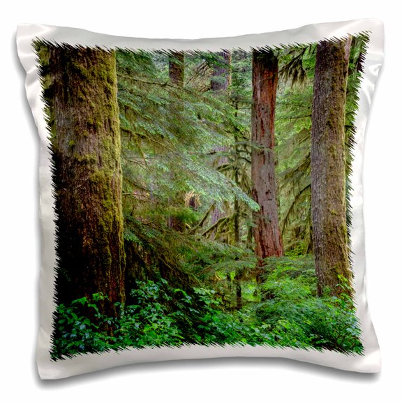 3dRose, Oregon, Willamette NF, old growth forest with large Douglas fir., 16x16 inch Pillow Case