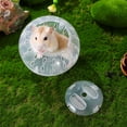 thumbnail image 3 of WORGEOUS Pelota transparente para hámster, pelota para hámster, pelota para correr para mascotas pequeñas, pelota para jugar al hámster, 3 of 8