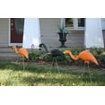 thumbnail image 6 of Bloem 10-Pack 25" Black and Orange Spooky Halloween Flamingo Plastic Lawn Ornaments with Metal Stakes, 6 of 6