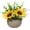 Yellow, variant on Artificial Sunflower Potted Flower Small- Fake Eucalyptus & Sunflower Arrangement: Table Centerpiece, Faux Summer Flower Decoration for Table Office Home Bathroom Kitchen Farmhouse Cute