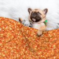 thumbnail image 3 of Yiaed Orange Glitter Print Dog Blankets-Cat Blanket Washable for Couch Protection,Puppy Blanket, Soft Plush Reversible Throw Furniture Protector-Medium, 3 of 8