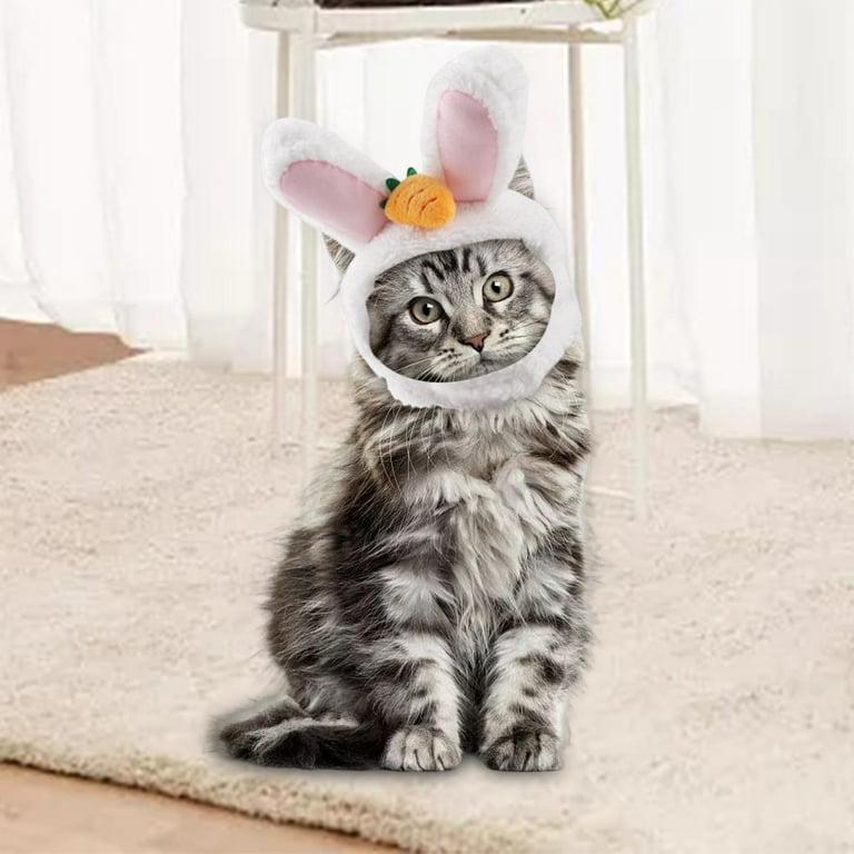 cat in a hat dress up Cute Cat Costume Hat - 5 Piece Set for Kitten Puppy Dress Up