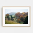 thumbnail image 2 of Winding Farms - Virginia Photography Unframed Wall Art Print 12 x 18 inches, 2 of 7