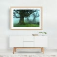 thumbnail image 6 of The Valley of Lost Souls - Fanal Laurel Forest of Madeira Island 2 - Madeira Portugal Photography Unframed Wall Art Print 5 x 7 inches, 6 of 7
