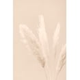 thumbnail image 2 of 1x Studio III 23x32 Gold Ornate Wood Framed with Double Matting Museum Art Print Titled - Pampas Grass Beige 06, 2 of 4