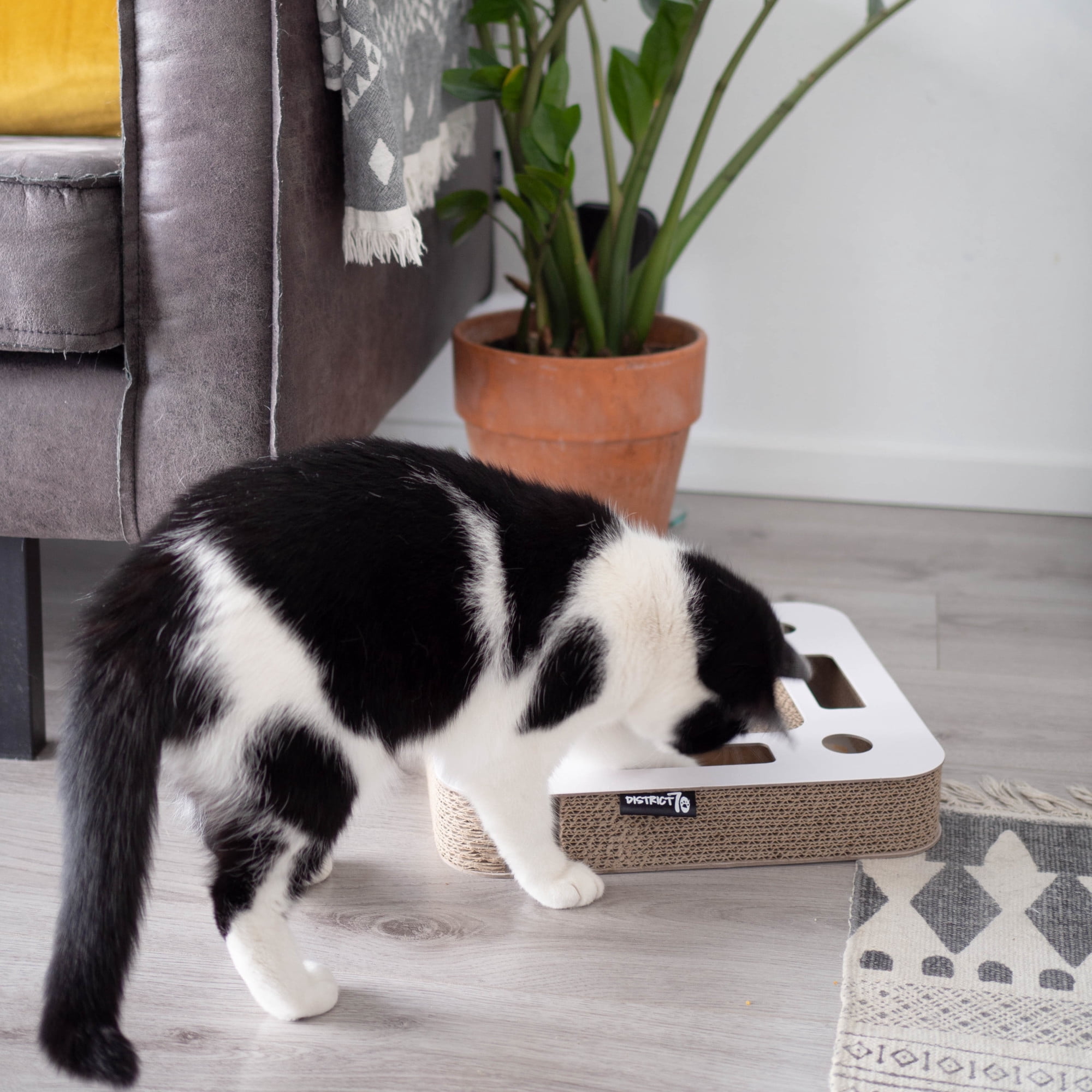 District 70 Spy Cat Scratcher with Ball and Bell, Corrugated Cardboard, Modern Design, Interactive Toy and Scratch Pad, Play and Groom, Keep Your Cat Active and Healthy - White