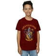 thumbnail image 2 of Harry Potter Boys Gryffindor Crest T-Shirt, 2 of 3