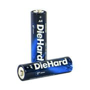 DieHard AA/AAA Alkaline Battery Pack (6AA/4AAA Combo Pack)