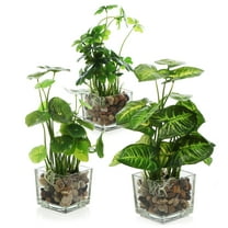 MyGift Set of 3 Artificial Plants, Faux Tabletop Greenery w/ Clear Glass Pots
