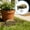 Brown_Hot#4526, variant on Hidden Key Storage Box Disguised as Outdoor Stone – Waterproof Spare Key Hider for Garden, Yard, and Home