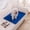 Blue, variant on Dog Pee Pad Blanket Reusable Absorbent Diaper Washable Puppy Training Pad Pet Bed Urine Mat for Pet Car Seat Cover Pet Supplies