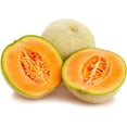 thumbnail image 5 of CZ Grain 100+ Hales Best Cantaloupe Plant Seeds, Easy to Grow, 5 of 5