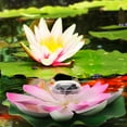 thumbnail image 5 of Minkissy 1Pcs Solar Water Lily Flower Lights for Pond and Pool Elegant Design Lotus Shape, 5 of 5