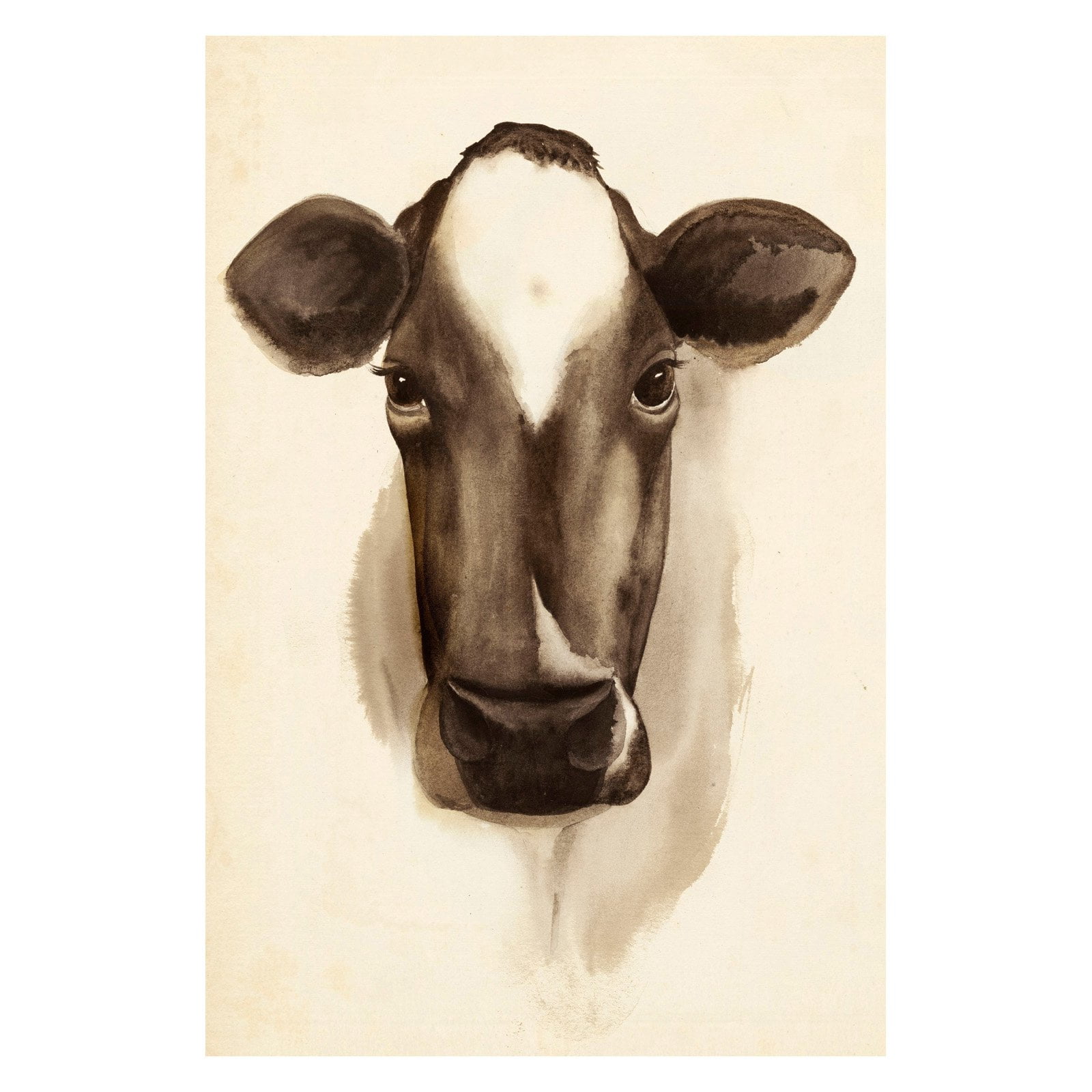 Marmont Hill Bovine Stare II Painting Wall Art Print