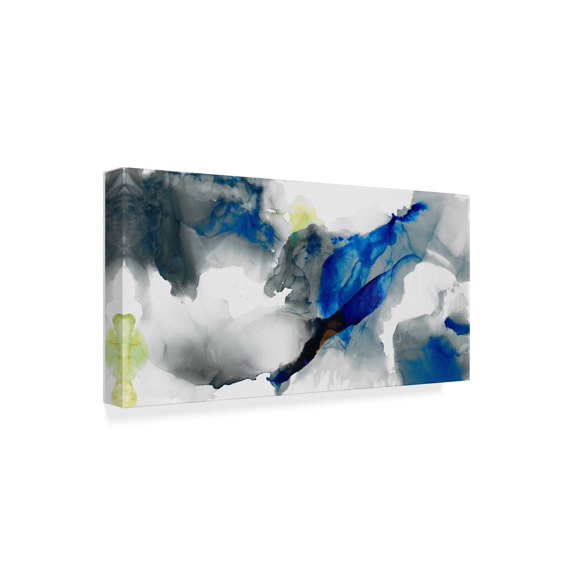 Trademark Fine Art 'Ephemeral I' Canvas Art by Sisa Jasper