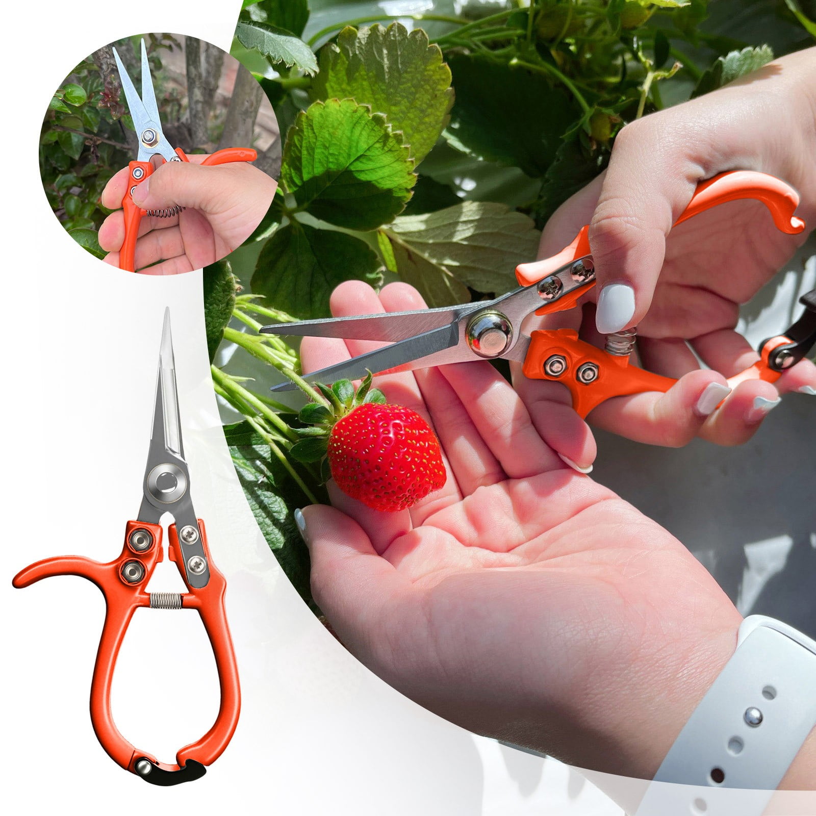 Garden Pruning Shears Precision Manual Trimmer and Bonsai Cutter with Straight Tapered Tip for Modern Gardening