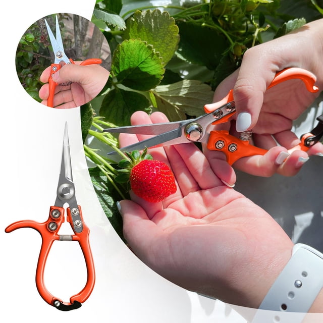 Garden Pruning Shears Precision Manual Trimmer Scissors Bonsai Cutter With Straight Tapered Tip Ergonomic Handle Modern Gardening Tool