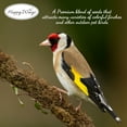 thumbnail image 5 of Happy Wing No Grow 13oz Prefilled Finch Blend Sock Feeder (Nyjer Seed & Sunflower Kernel Mix) - New & Dry, 5 of 8