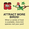 thumbnail image 5 of C & S Products EZ Fill Suet Basket - Hanging Green Bird Feeder - Outdoor Use, 5 of 6